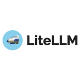 LiteLLM