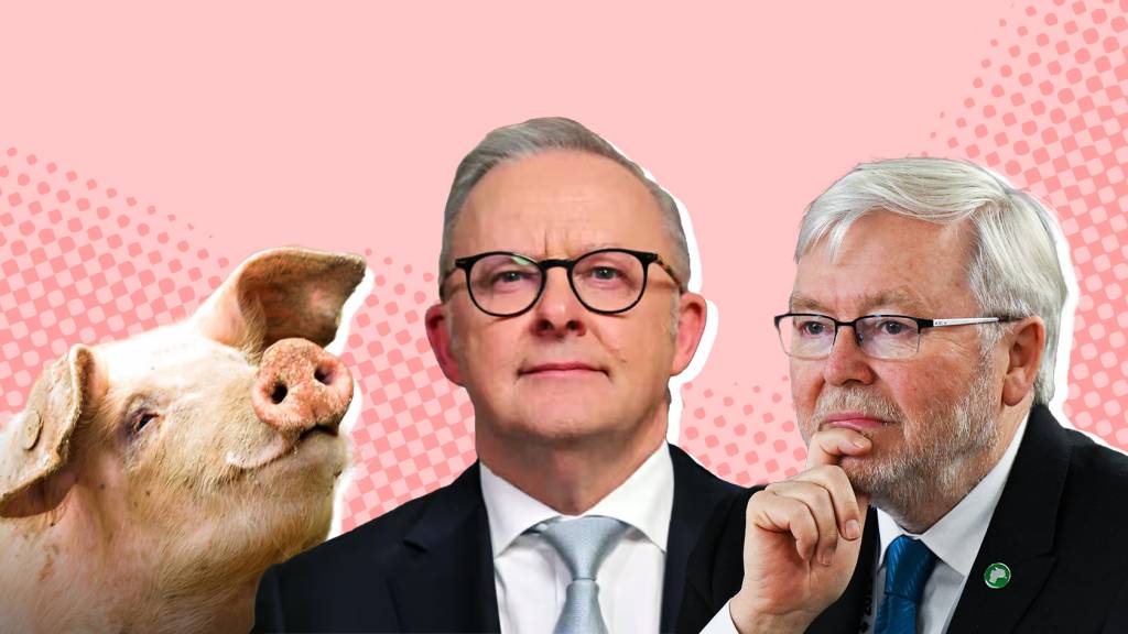 Plus staff at The Australian have become incoherent with rage over the federal budget.
The post Albo flew blind with April Fools address, Kevin Rudd launches a Substack, and the law is coming for pig lovers appeared first on Crikey.