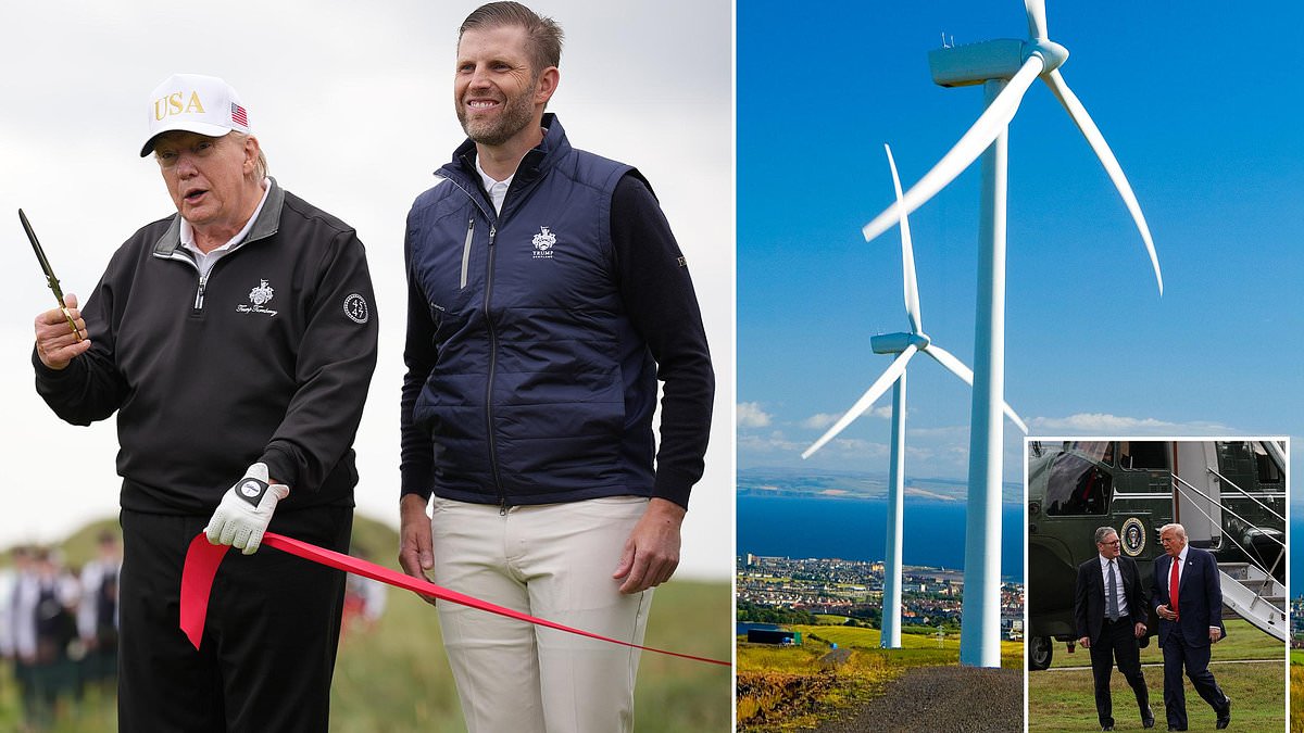 He has a long and bitter relationship with wind farms, labelling them 'windmills,' 'ugly,' 'noisy,' and 'pathetic'.