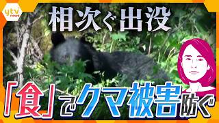 Bear sightings across Japan have already climbed to nearly twice the level recorded during the same period last year, prompting entry bans in mountain areas behind Kyoto’s Ninna-ji Temple and the cancellation of hiking events in Kansai, while new research sug…