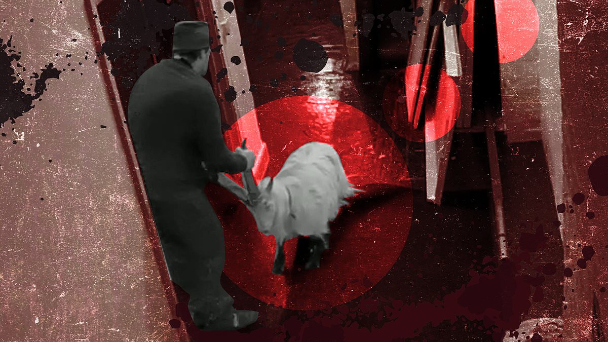 It could have been a scene out of a horror film. But the grainy CCTV footage from inside a run-down office block in Hackney, east London, is terrifyingly real.