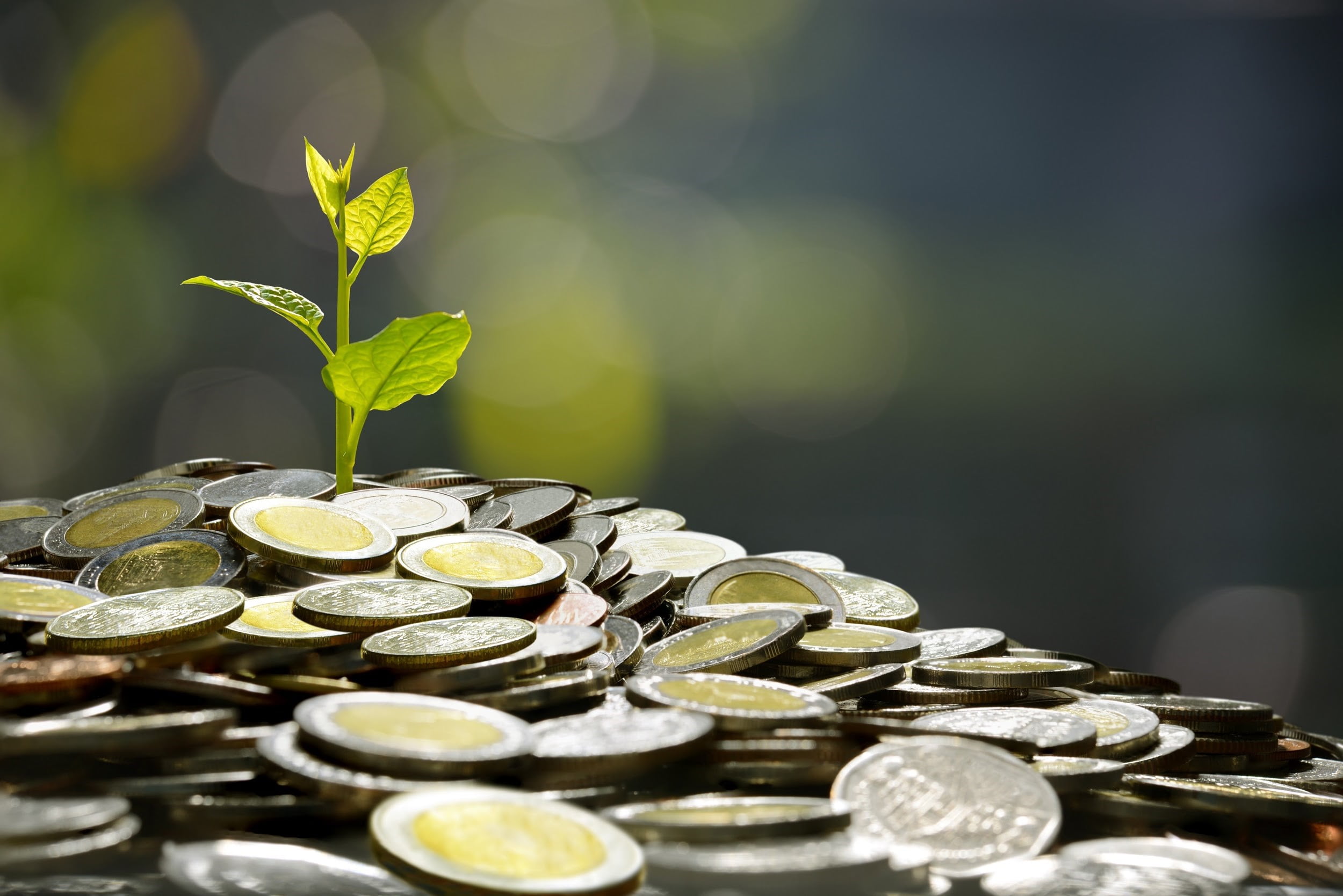Humanity Protocol is restructuring its H token after a $36 million exploit, but the incident appears tied to compromised keys rather than protocol code.