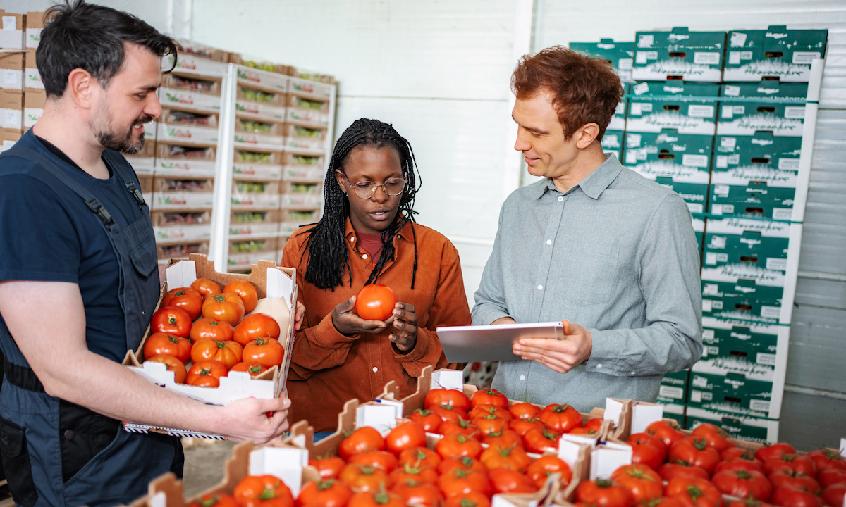 GrubMarket&nbsp;has expanded its&nbsp;GrubMarket AI&nbsp;platform to include a Sales AI Agent designed for use by wholesale food distributors. The new Sales AI Agent helps sales teams identify prospective customers, analyze&nbsp;menus&nbsp;and order guides, and generate customer-read…