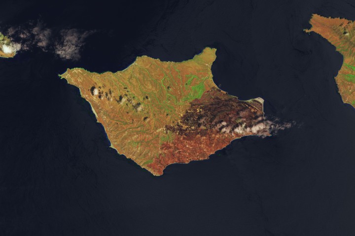 A wildland fire charred grassland, coastal sage scrub, and chaparral across one-third of the island, the second largest of the Channel Islands.